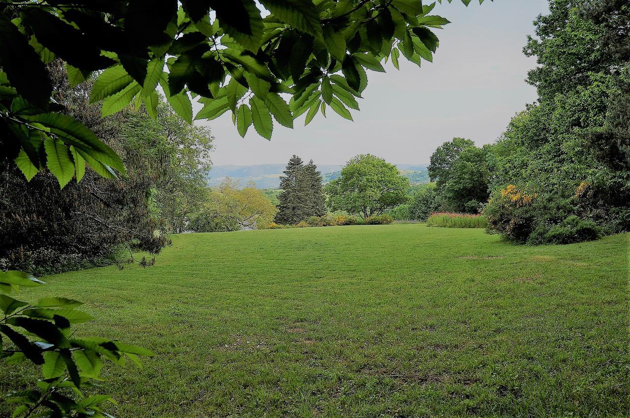 Domaine Des Marequiers Chambre Pimprenelle Saint-Germain-du-Teil ภายนอก รูปภาพ