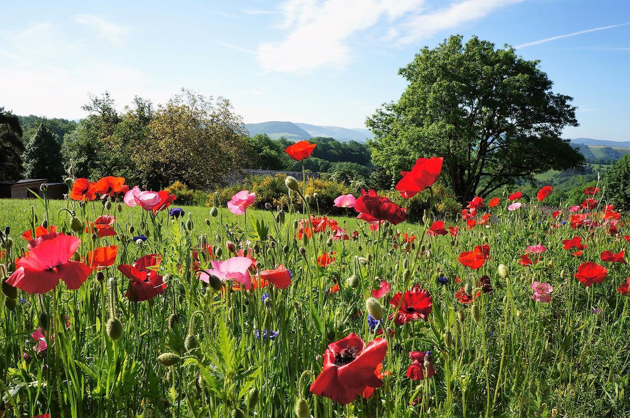 Domaine Des Marequiers Chambre Pimprenelle Saint-Germain-du-Teil ภายนอก รูปภาพ
